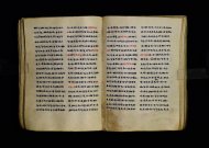 Parma, Palatina 3863
