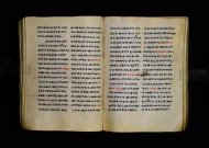 Parma, Palatina 3863