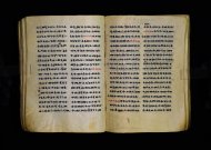 Parma, Palatina 3863