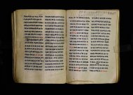 Parma, Palatina 3863