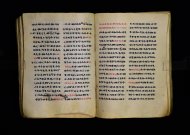 Parma, Palatina 3863