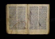 Parma, Palatina 3863