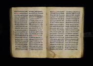 Parma, Palatina 3863