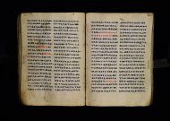 Parma, Palatina 3863