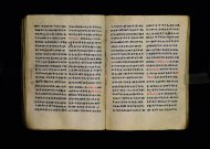 Parma, Palatina 3863