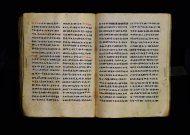 Parma, Palatina 3863