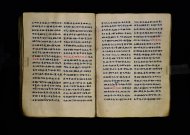 Parma, Palatina 3863