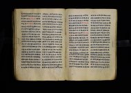 Parma, Palatina 3863