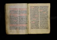 Parma, Palatina 3863