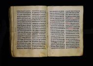 Parma, Palatina 3863