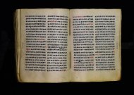 Parma, Palatina 3863