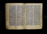 Parma, Palatina 3863