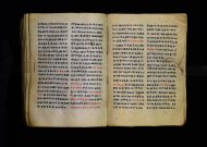 Parma, Palatina 3863