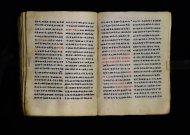 Parma, Palatina 3863
