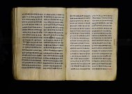 Parma, Palatina 3863