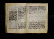 Parma, Palatina 3863