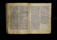 Parma, Palatina 3863