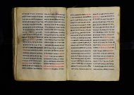 Parma, Palatina 3863
