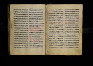 Parma, Palatina 3863