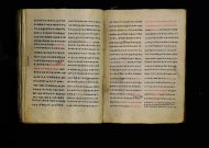 Parma, Palatina 3863
