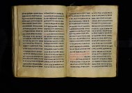 Parma, Palatina 3863