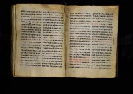 Parma, Palatina 3863