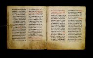 Parma, Palatina 3865