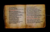 Parma, Palatina 3867