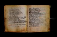 Parma, Palatina 3867