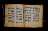 Parma, Palatina 3867