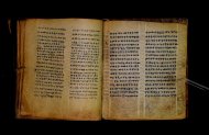 Parma, Palatina 3867