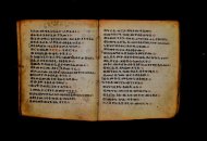Parma, Palatina 3868