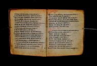 Parma, Palatina 3868