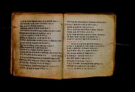 Parma, Palatina 3868