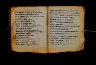 Parma, Palatina 3868