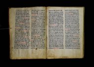Parma, Palatina 3863