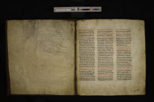 BFP_004-005
