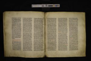 BFP_004-029