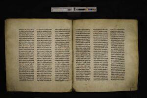 BFP_004-033