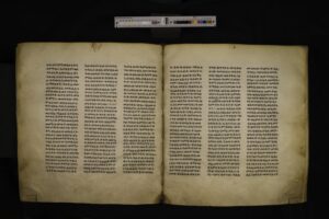 BFP_004-053