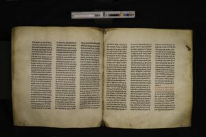 BFP_004-079