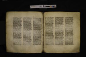 BFP_004-095