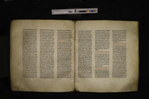 BFP_004-102