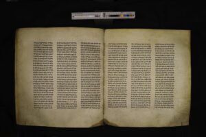 BFP_004-119