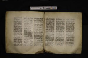 BFP_004-154